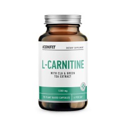 L-Carnitine L-KARNITĪNS ar CLA un zaļās tējas ekstraktu , N90  