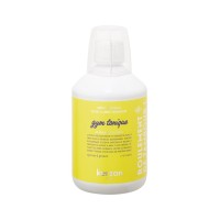 Laundry Soap Gym Tonique Sporta veļas mazgāšanas līdzeklis, 500 ml 