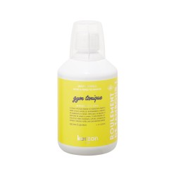 Laundry Soap Gym Tonique Sporta veļas mazgāšanas līdzeklis, 500 ml 