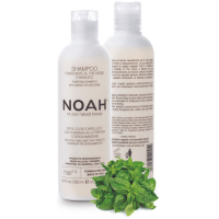 1.5. Purifying Shampoo With Green Tea Šampūns pret blaugznām, 250 ml 