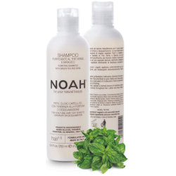 1.5. Purifying Shampoo With Green Tea Šampūns pret blaugznām, 250 ml 