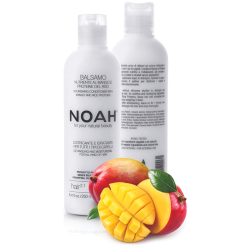 2.1. Nourishing Conditioner With Mango And Rice Proteins Barojošs matu balzams, 250 ml 