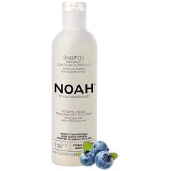 1.9. Anti-Yellow Shampoo Dzelteno toni neitralizējošais šampūns, 250 ml 