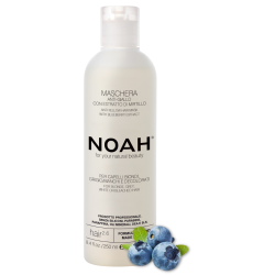 2.6. Anti-Yellow Hair Mask Dzelteno toni neitralizējoša matu maska, 250 ml 