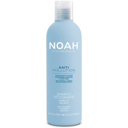 Anti Pollution Detox Shampoo Attīrošs-mitrinošs šampūns ar alvejas un eļļas moringas ekstraktiem, 250 ml 