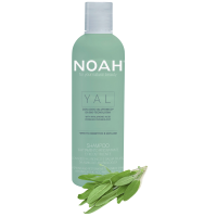 YAL Hydrating And Restorative Treatment Shampoo Mitrinošs un atjaunojošs šampūns ar hialuronskābi un salviju, 250 ml 