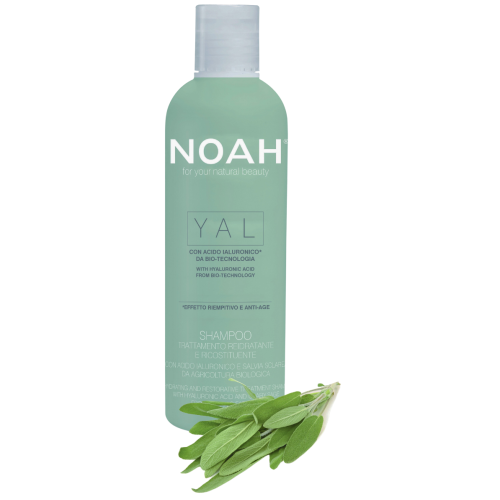 YAL Hydrating And Restorative Treatment Shampoo Mitrinošs un atjaunojošs šampūns ar hialuronskābi un salviju, 250 ml