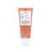 Ginger Root Daily Moisturiser Mitrinātājs lietošanai ikdienā, 75 ml