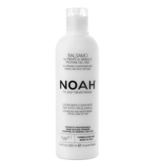 Noah 2.1. Nourishing Conditioner With Mango And Rice Proteins Barojošs matu balzams, 250 ml | inbeauty.lv